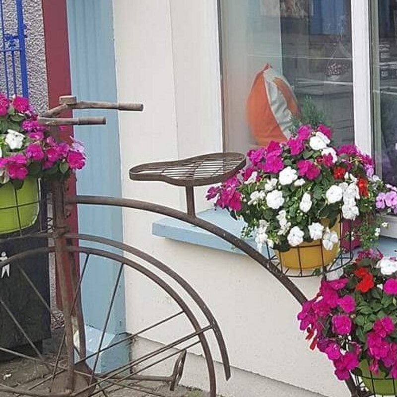 Pink and white flowers in baskets and a bicycle-shaped planter outside the café window